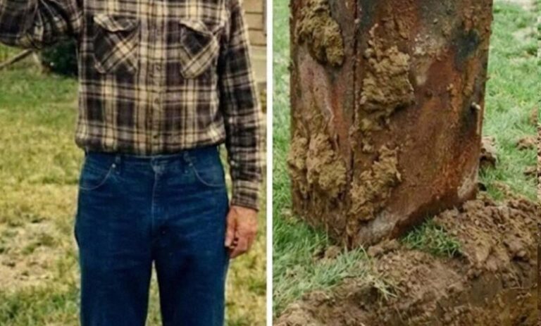 My Elderly Neighbor Died, After His Funeral, I Received a Letter From Him Revealing He Had Buried a Secret in His Backyard 40 Years Ago!